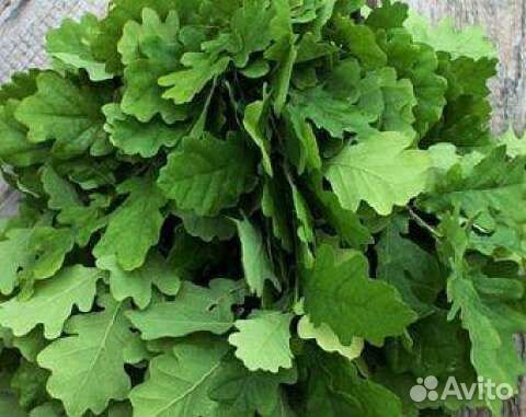 Пихтовые Берёзовые Дубовые веники