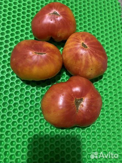 Семена коллекционных, сортовых томатов