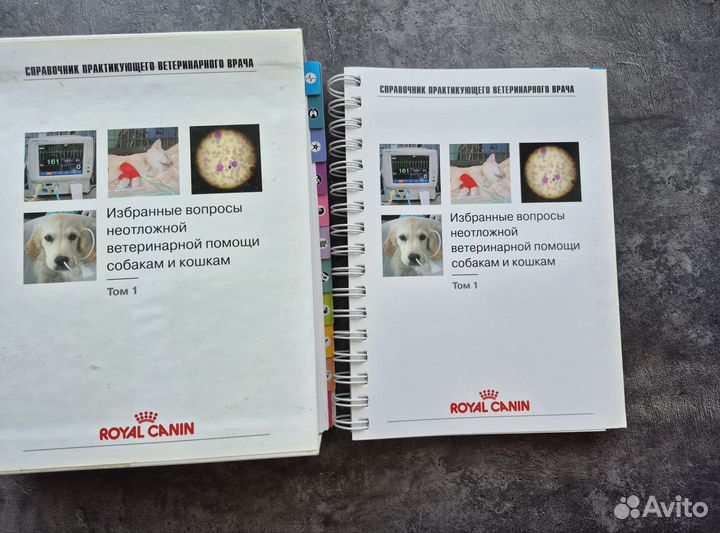 Избранные вопросы неотложной ветеринарной помощи