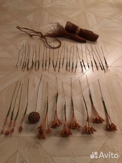 Сухоцветы для творчества