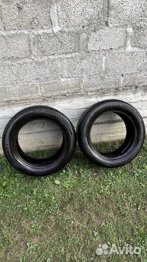 Continental ContiWinterContact TS 830 P 2.25/55 R17 97S