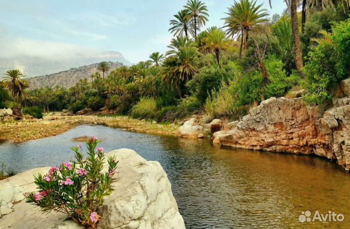 Тур в k. Morocco на 7 ноч