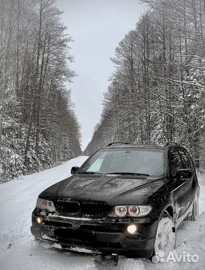 Аренда авто с водителем