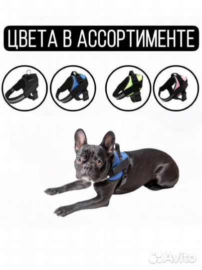 Шлейка для собак (можно опт)