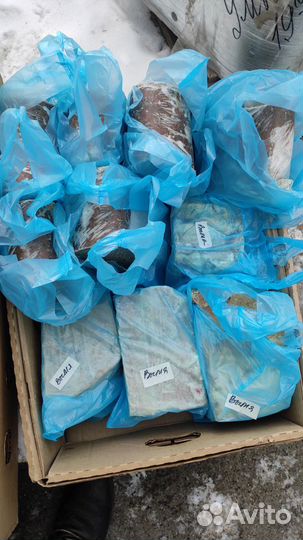 Субпродукты для животных