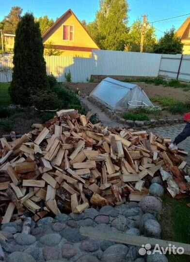 Дрова колотые Осина
