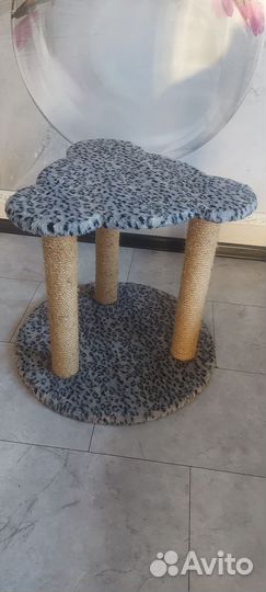 Когтеточка