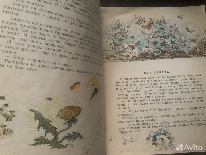 Книга Павлова, Нина Желтый, белый, лиловый/Валерий