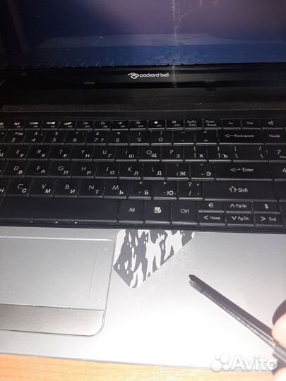 Ноутбук packard bell