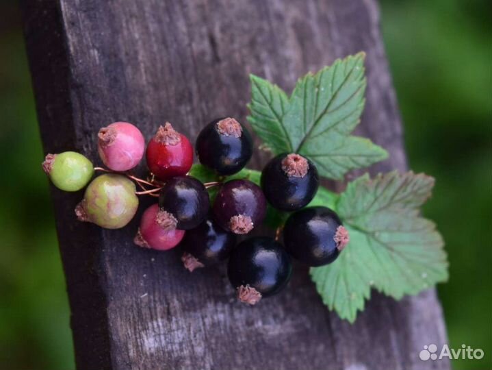 Брошь из полимерной глины ручной работы, смородина