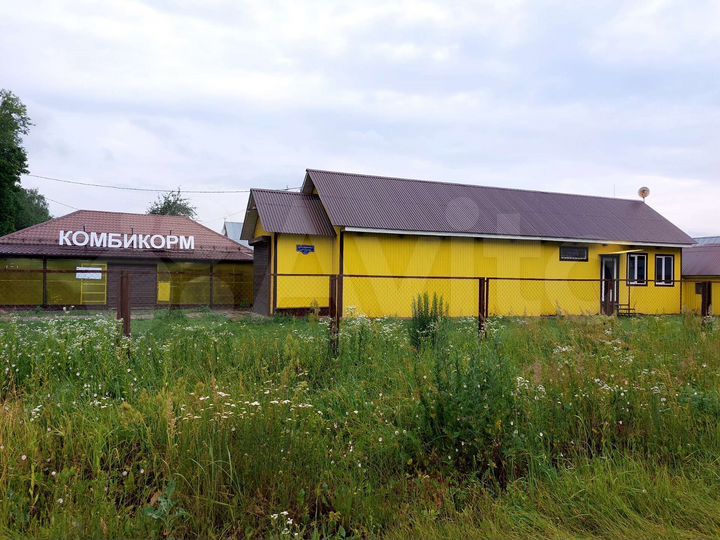 Торговая площадь, 100 м²