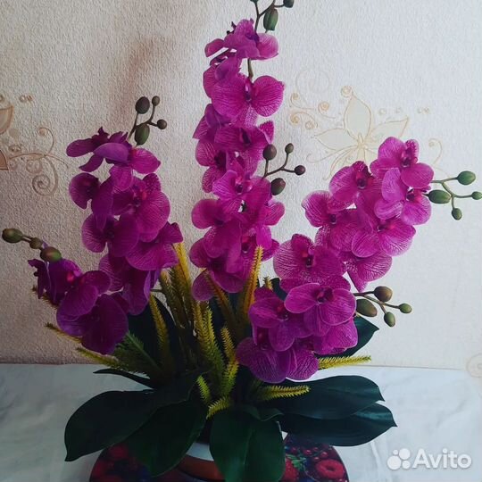 Орхидея фаленопсис