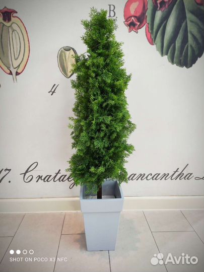 Искусственные деревья, пальмы, зелень