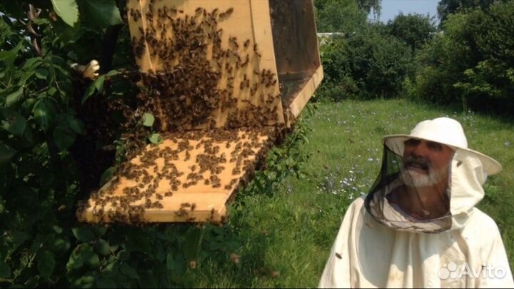 Мед с небольшой пасеки из Рязанской области