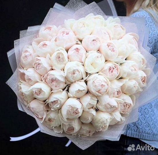 Пионы Букет пионов