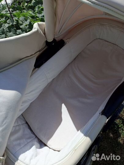 Коляска adamex