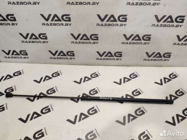 Audi A5 (S5,RS5) 12009 8T082335929096558