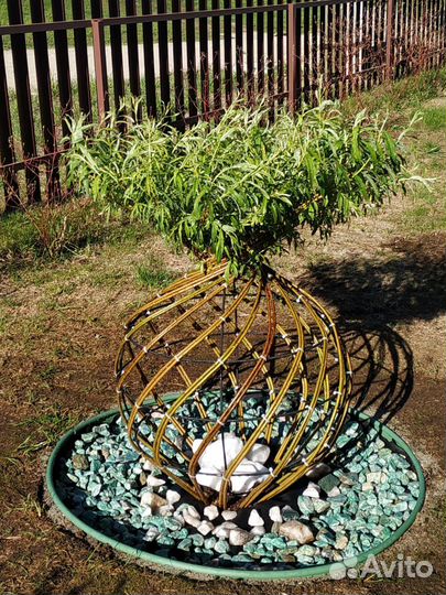 Плетёные деревья