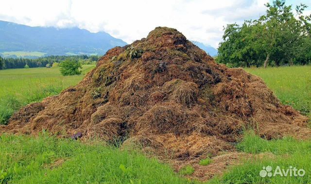 Навоз восхитительный