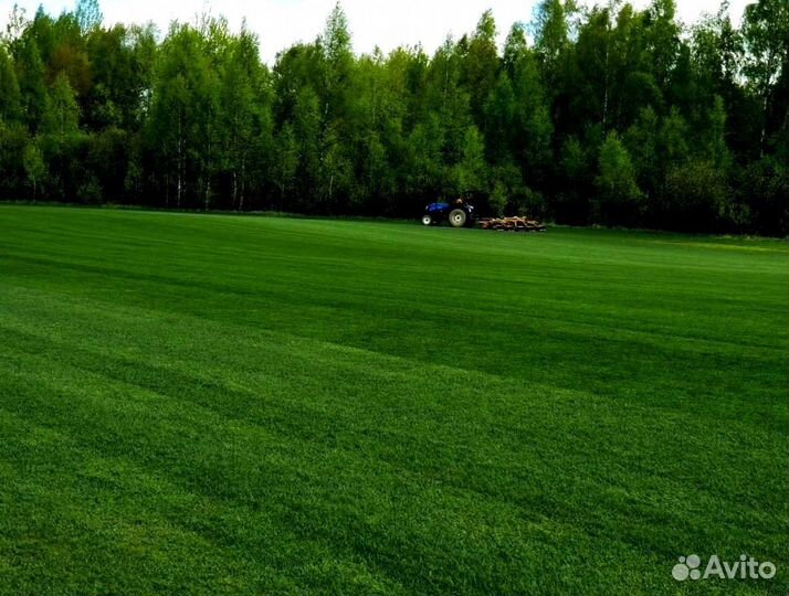Рулонный газон