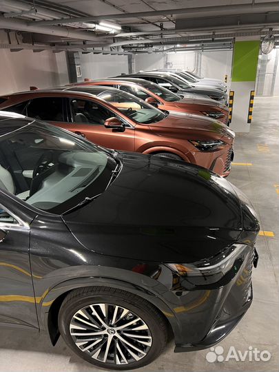 Lexus RX 2.4 AT, 2023, 14 км