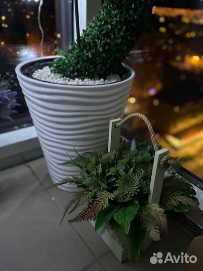 Кактус дерево 120 см