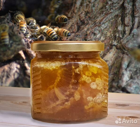 Мёд из колоды - тысячи лесных целебных медоносов