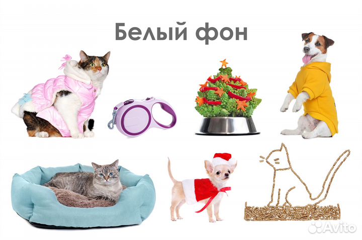 Фото товаров для животных на маркетплейсы