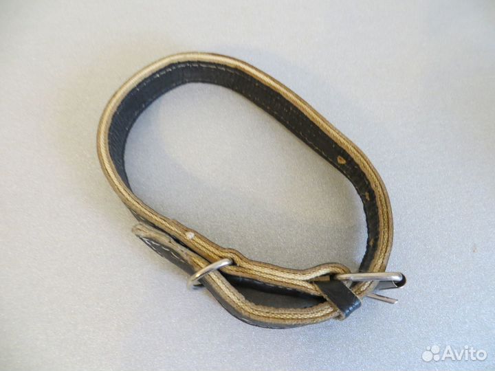 Ошейник для собак