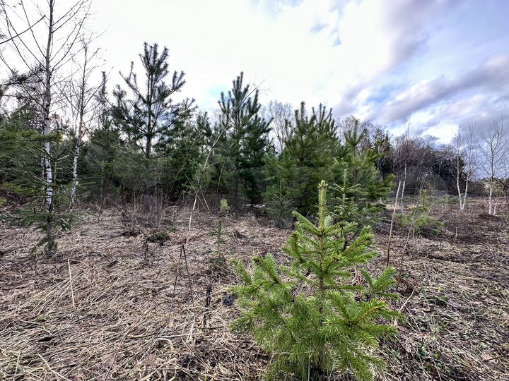 Участок 6,3 сот. (ИЖС)