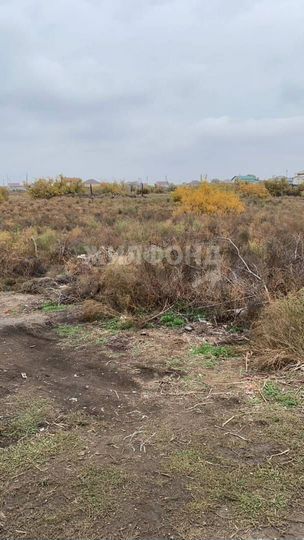 Участок 8 га (ИЖС)