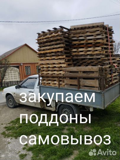 Поддоны