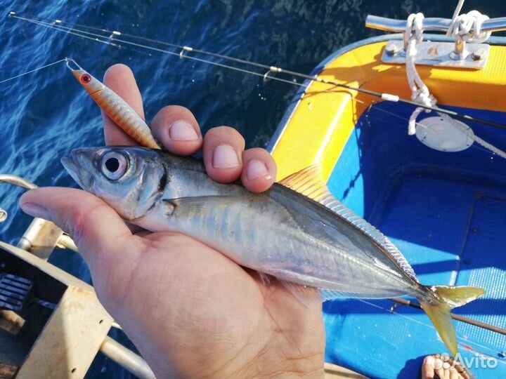 Морская рыбалка