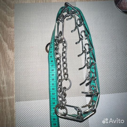 Строгий ошеник для собак