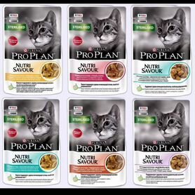 ProPlan мокрый корм для кошек в ассортименте