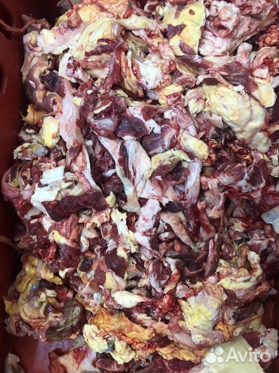 Говяжья тех.обрезь для животных оптом