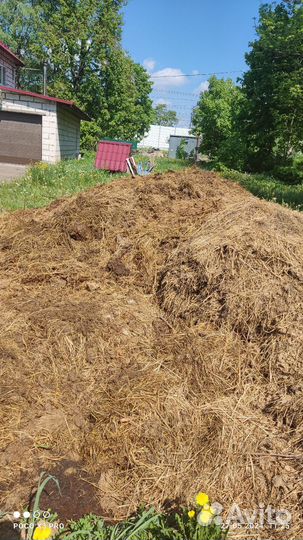 Навоз коровий