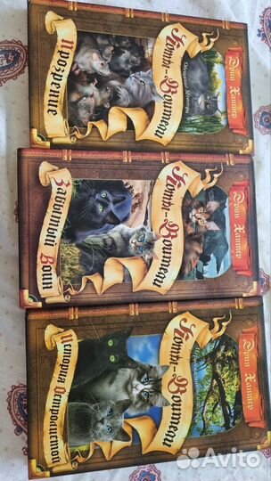 Книги коты воители