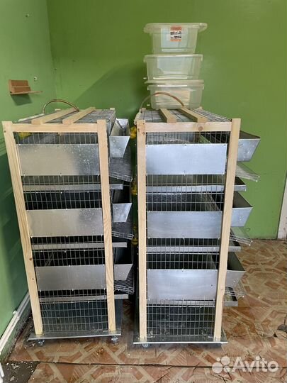 Клетки и брудеры для кур и перепелов