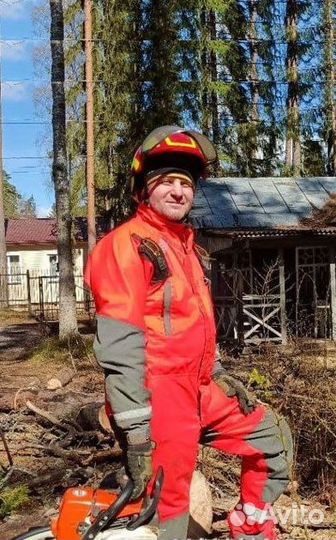 Обрезка Спил Удаление деревьев любой сложности