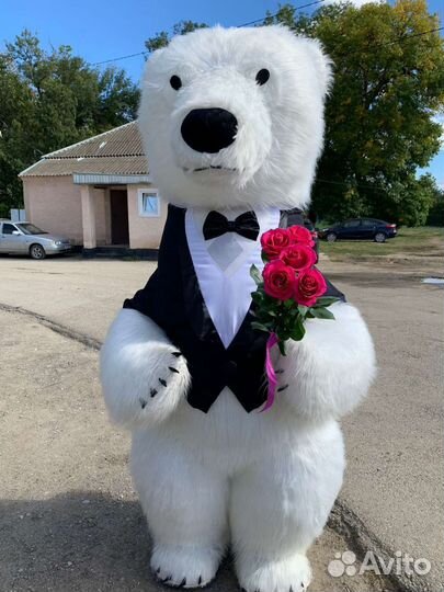 Белый мишка Темрюк