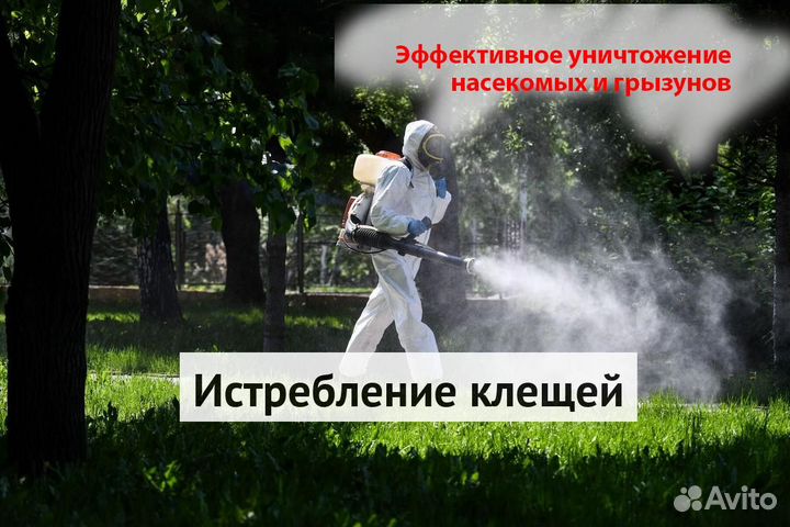 Уничтожение клопов тараканов грызунов плесени