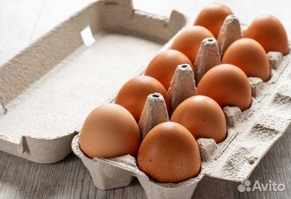 Домашние куриные яйца