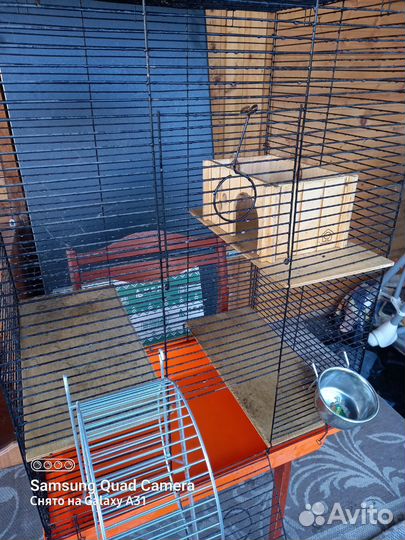 Клетка для шиншиллы бу