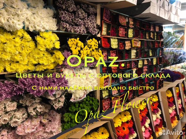 Эквадорские розы Цветы Доставка