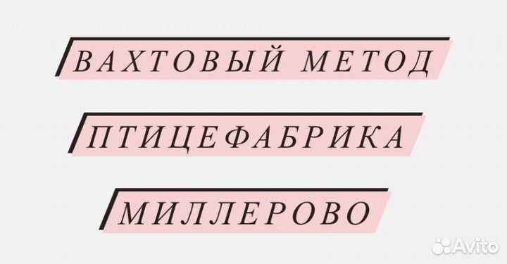 Вахта. Упаковщик утки. Питание+проживание