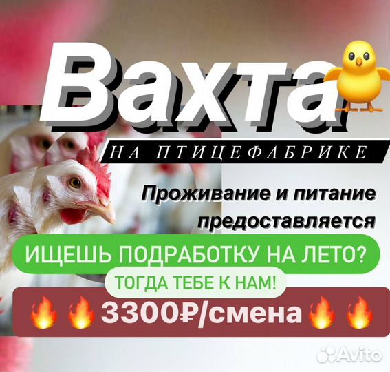 Упаковщик(ца) вахтой в Крыму на птицефабрику