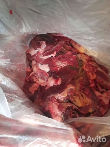 Обрезь мясная говядина