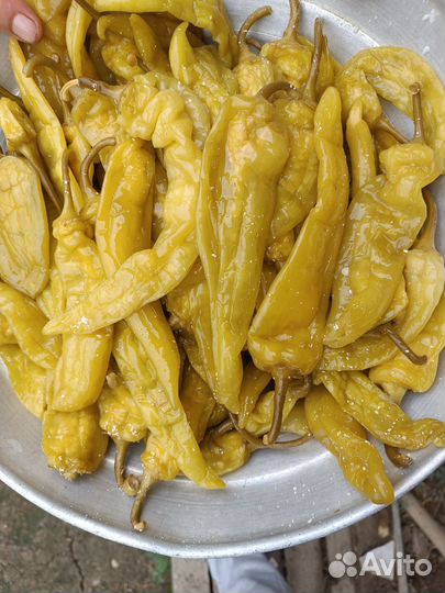 Перец острый