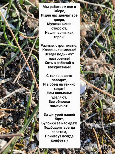 Стихи, поздравления на заказ